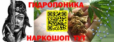 гидропоника Бугуруслан