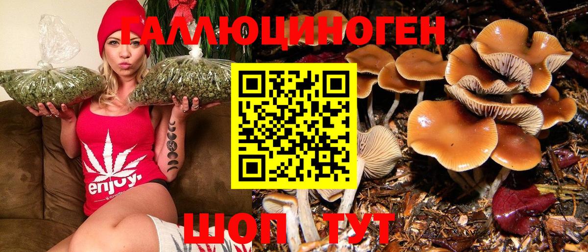 Псилоцибиновые грибы Psilocybe  Вход с VPN  Псилоцибиновые грибы Cubensis  Мурино 