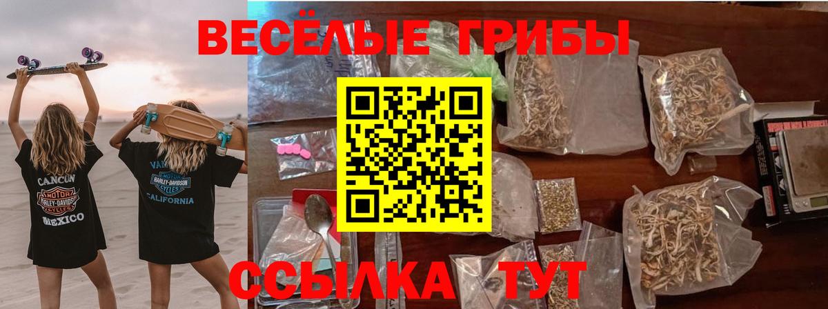 Псилоцибиновые грибы MAGIC MUSHROOMS Мурино